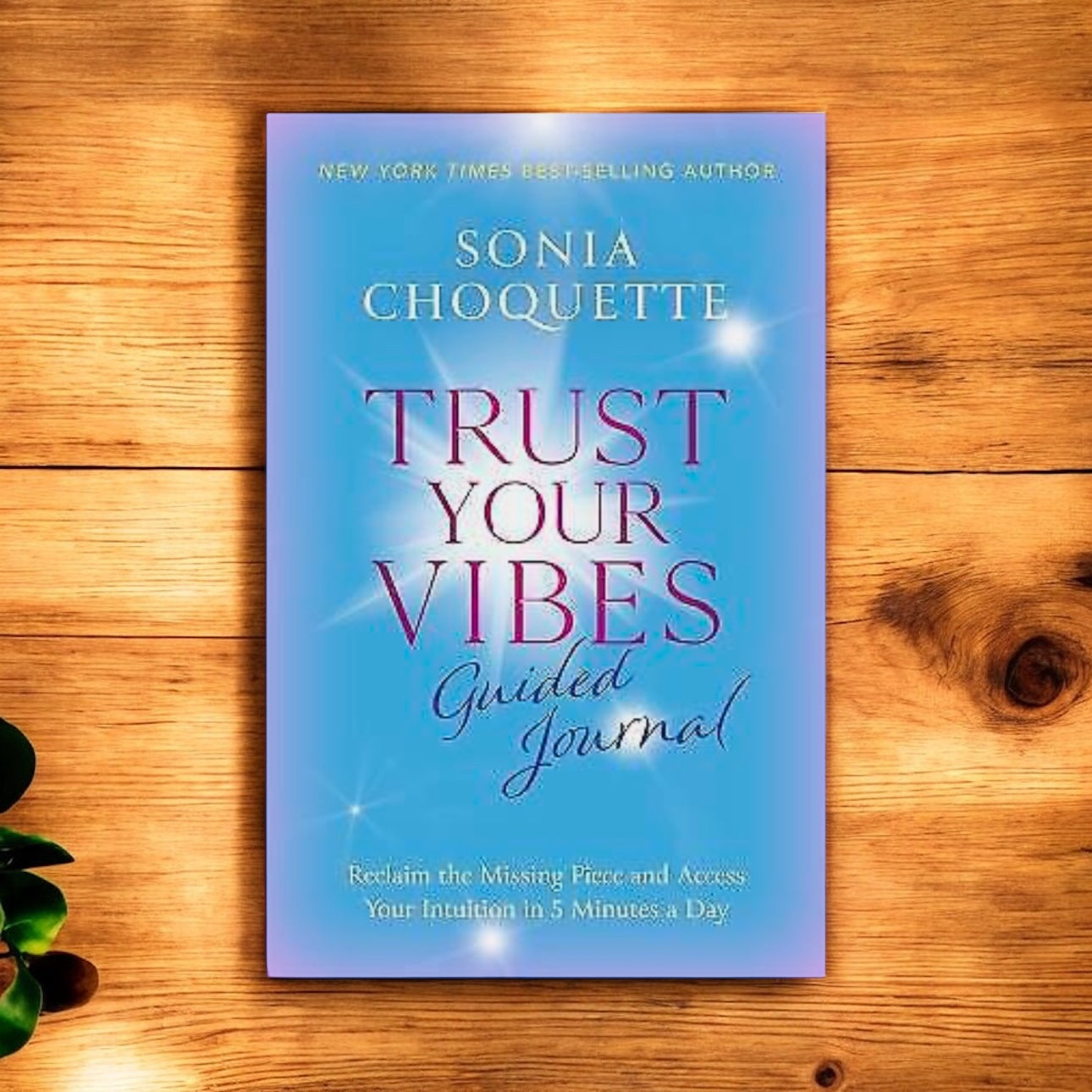 Trust Your Vibes - Guided Journal